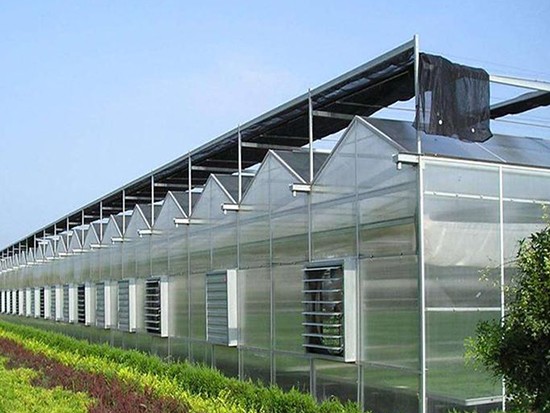 韶关公共资源交易中心