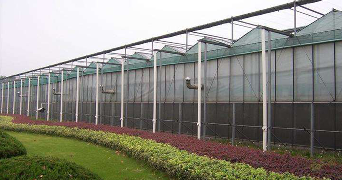 1596593810106929.jpg 133.jpg